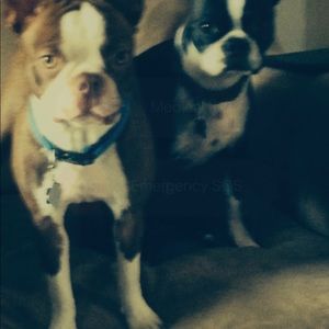 Meet your Posher, Norma